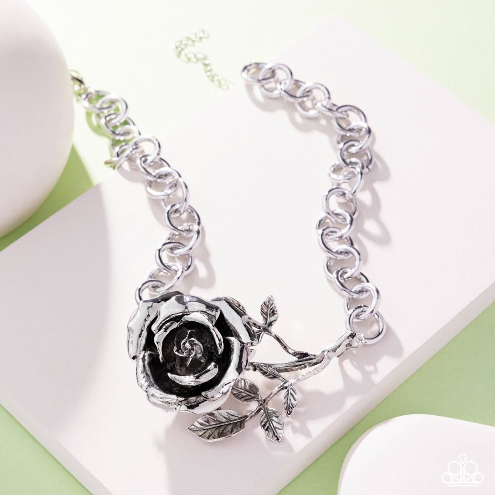 whimsical-appearance-silver-p2st-svxx-253xx