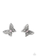 wispy-wings-pink-p5po-pkxx-086xx