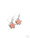 horticultural-haute-orange-p5ho-ogxx-019xx