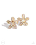 starfish-serenade-gold-p5co-gdxx-089xx