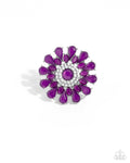 steady-shimmer-purple-p4st-prxx-028xx