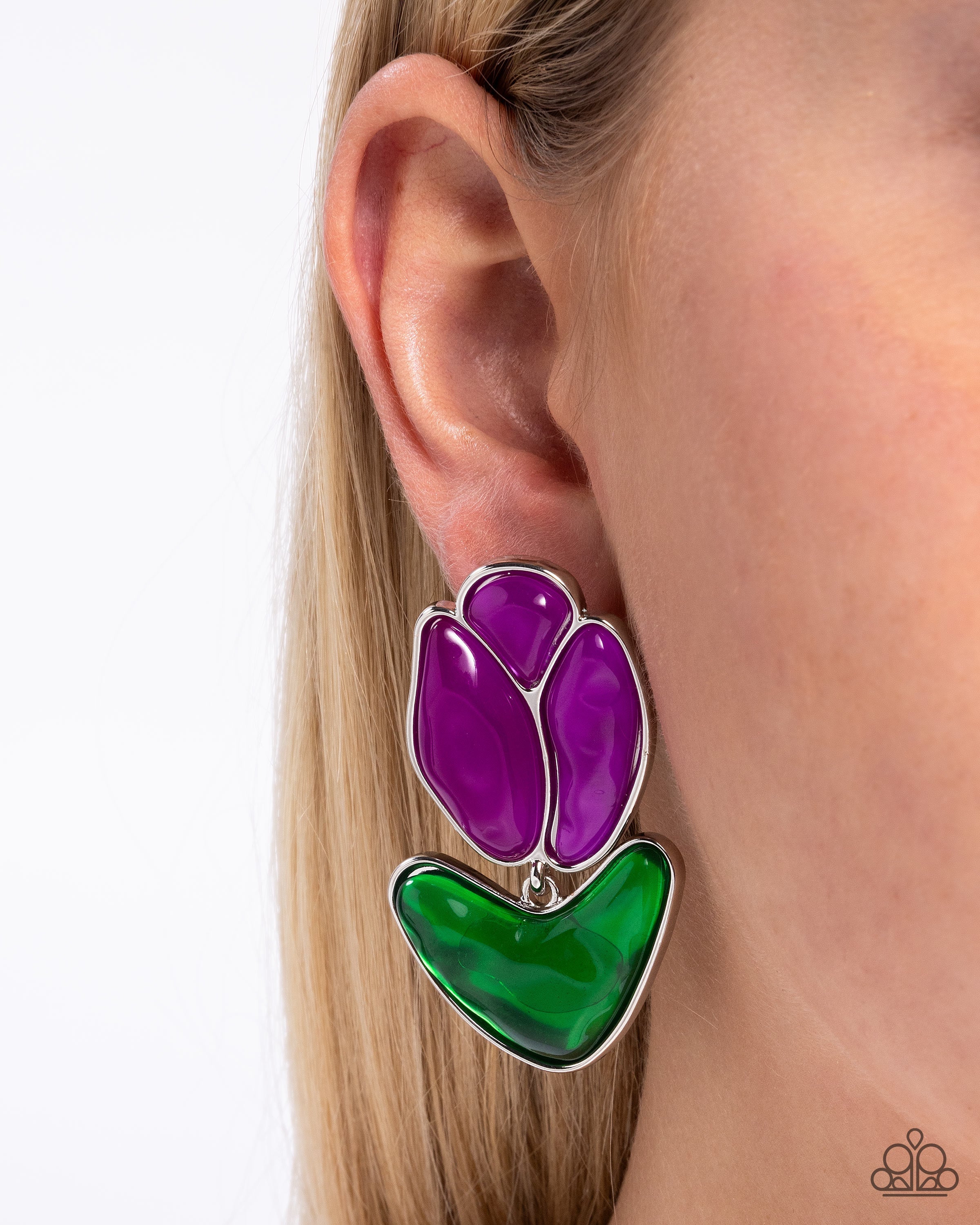tulip-triumph-purple-p5po-prxx-042xx