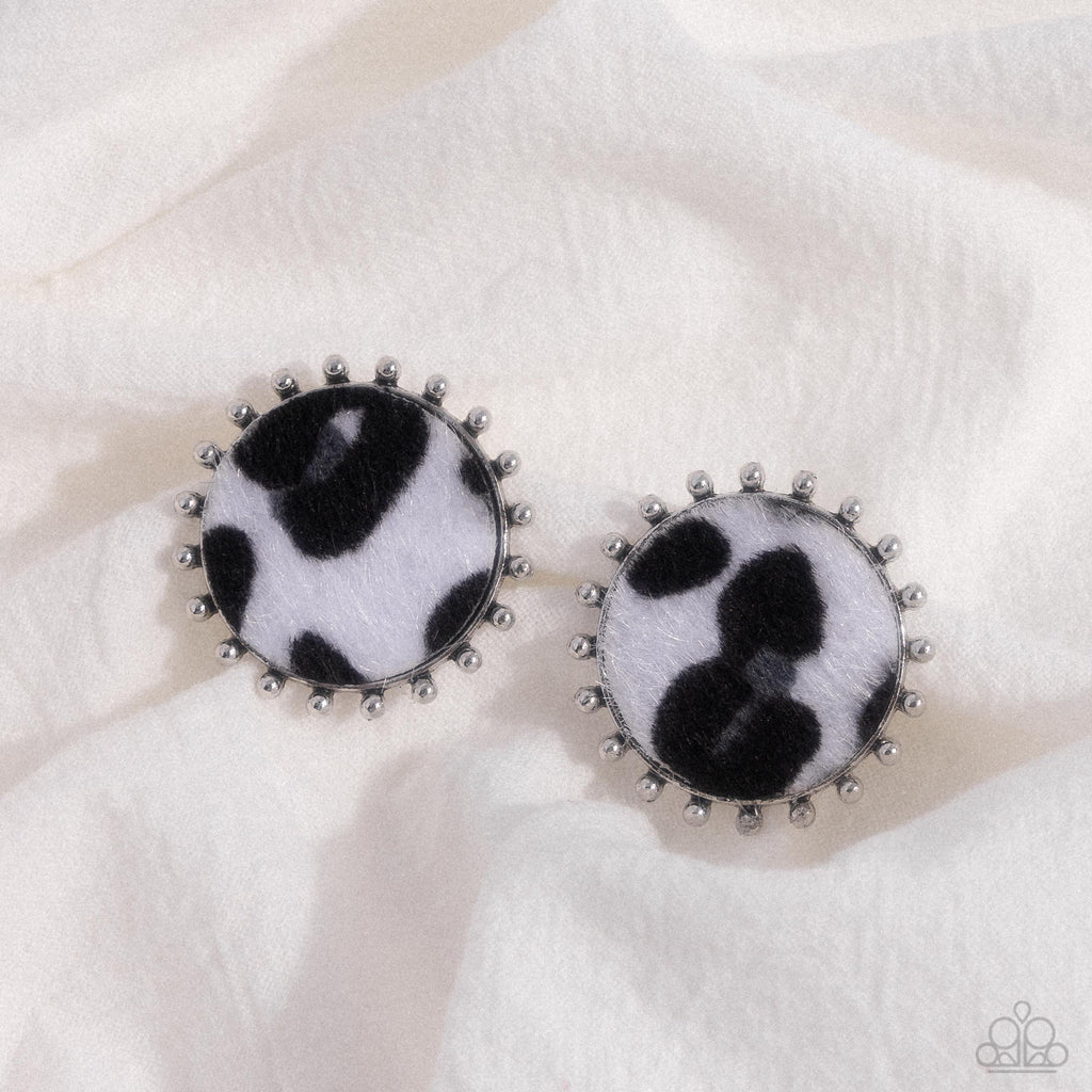 cowhide-couture-black-p5po-bkxx-278xx