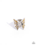 butterfly-broadcast-yellow-p4wh-ywxx-169xx