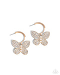butterfly-boundary-gold-p5ho-gdxx-429xx