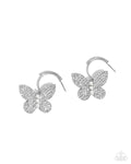 butterfly-boundary-white-p5ho-wtxx-216xx