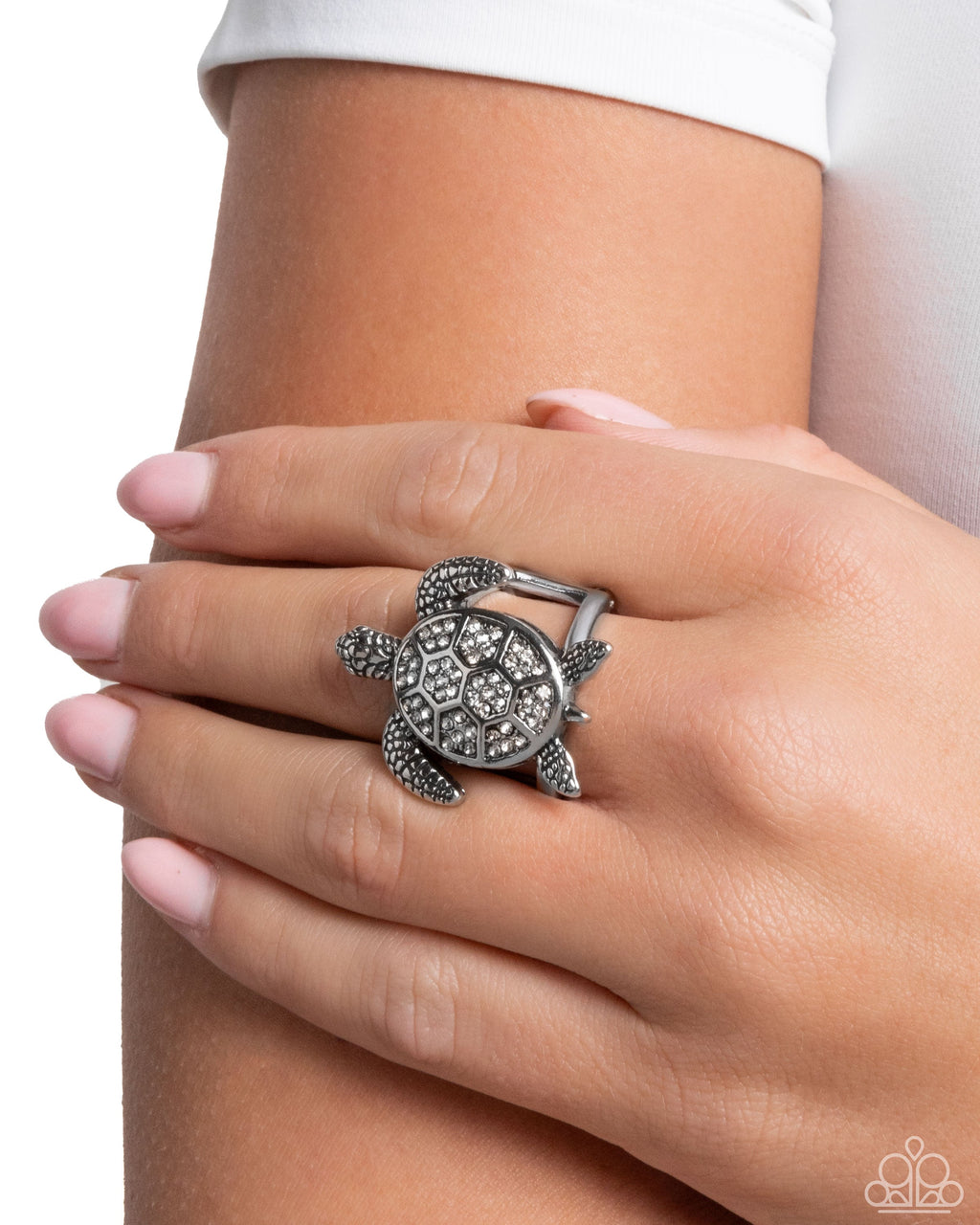 turtle-triumph-silver-p4re-svxx-208xx