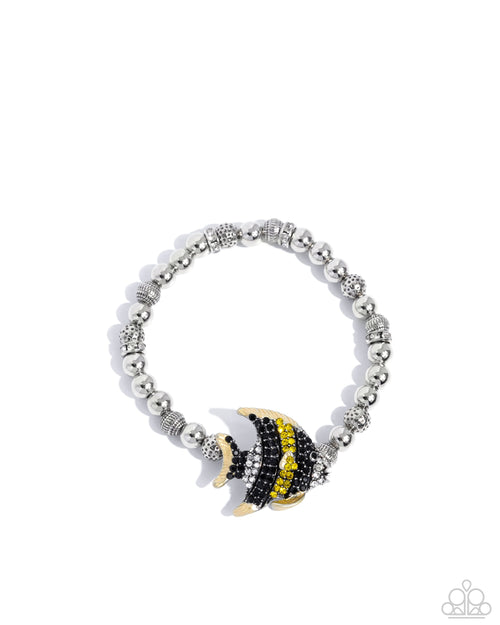 admirable-angelfish-yellow-p9re-ywxx-041xx