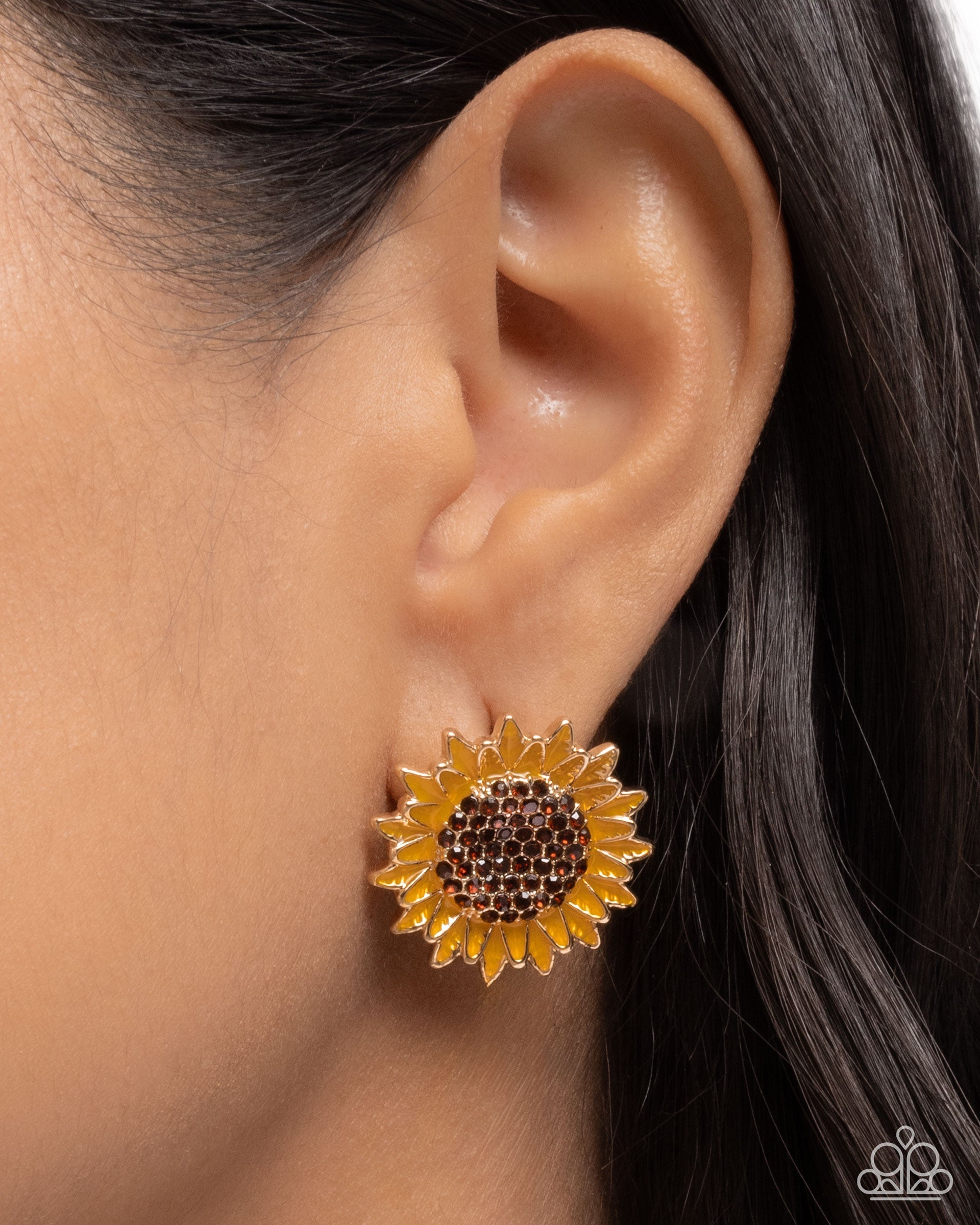 blooming-beat-brown-p5po-bnxx-059xx