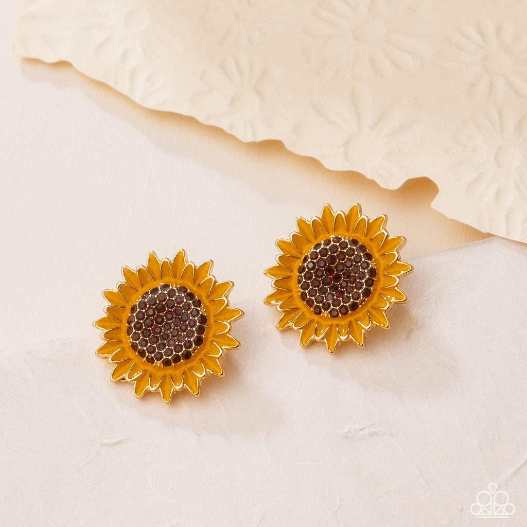 blooming-beat-brown-p5po-bnxx-059xx