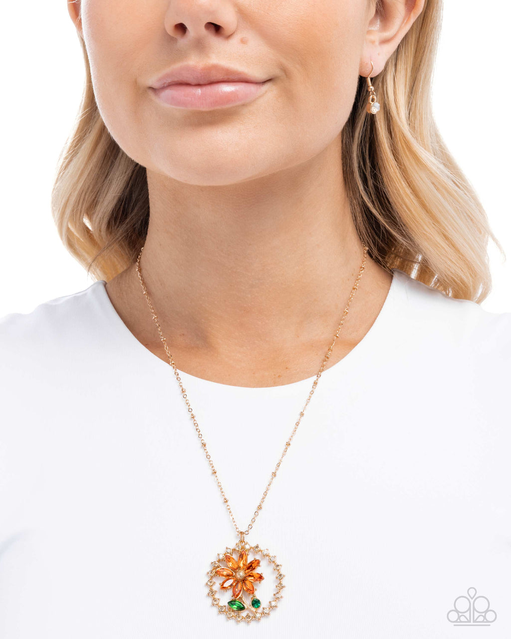 framing-florals-orange-p2re-ogxx-183xx